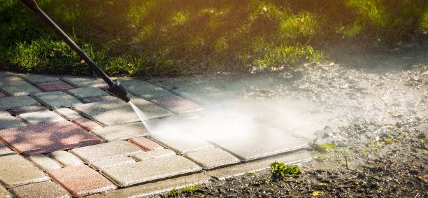 Animal Enclosure Cleaning in Schofield Barracks, HI